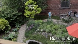 3 neighbors create huge hidden urban garden  Urban Gardener video [upl. by Beth]