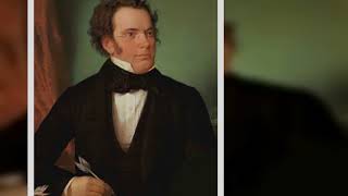 Franz Schubert biografie Deutsch  Berühmte Personen [upl. by Enomad]