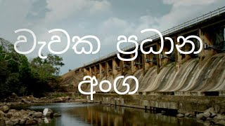 වැවක ප්‍රධාන අංග ගැන දැනගමු Information about Key features of a lake [upl. by Mirabel370]