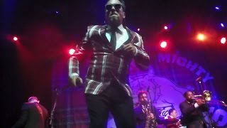 The Mighty Mighty Bosstones  The Rascal King  Live in San Francisco [upl. by Kimber]