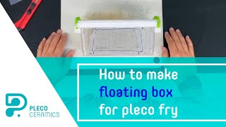 How to make floating box for pleco fry [upl. by Feliza]