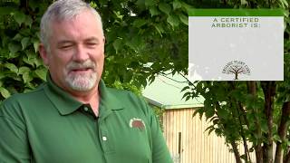 What Is a Certified Arborist amp Why Should You Hire One For Tree Work [upl. by Akehsyt850]