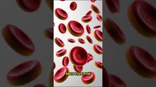 FACTS ABOUT RBCs facts info biology shorts subscribe viralreels 100kviews 1000subscriber [upl. by Hoes]