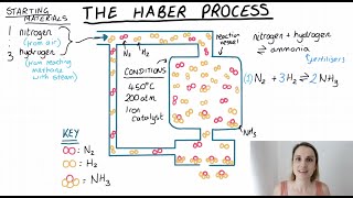 The Haber Process Summary Explanation making ammonia [upl. by Busby843]