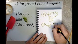 Easy paint from peach tree leaves smells like almonds 100 natural [upl. by Kalk]