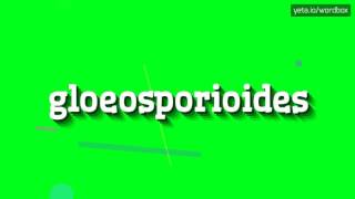 GLOEOSPORIOIDES  HOW TO PRONOUNCE IT [upl. by Guenna]