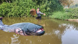 Discovering there was a big fish the girl immediately used a bamboo basket to catch the fish [upl. by Older]