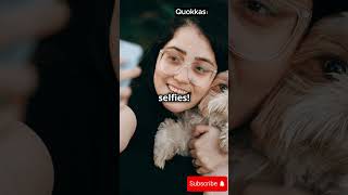 10 Fun Facts About Quokkas shortsvideo shorts shortsfeed facts wildlifewonders animals [upl. by Edya]