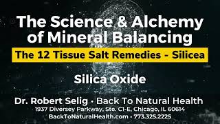 The 12 Tissue Salt Remedies  Silicea Silica Oxide [upl. by Aneba]