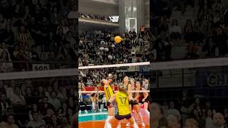 😱 Fenerbahçe’den ilginç sayı volleyball sultanlarligi fenerbahçe edaerdem rally [upl. by Catlin]