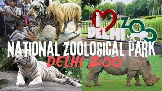 VISITING NATIONAL ZOOLOGICAL PARK DELHI PART 1 [upl. by Cirnek]