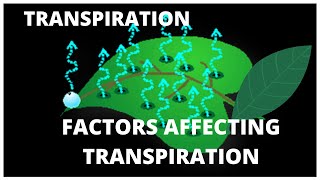 ICSE CBSE Class 10  Transpiration  L8 FACTORS AFFECTING THE RATE OF TRANSPIRATION [upl. by Karmen]