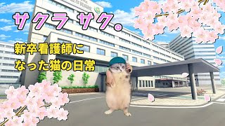 病院で勤務する新卒看護師の日常その１【猫ミーム】【猫マニ】 [upl. by Frasquito]