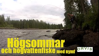 Nymffiske i högsommarvarmt vatten [upl. by Anegal]