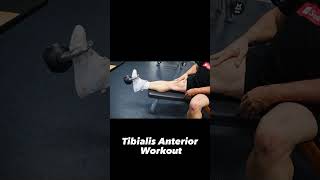 The Best Tibialis Anterior Exercise you need  tibialis kettlebell  calf workout [upl. by Ellahcim822]