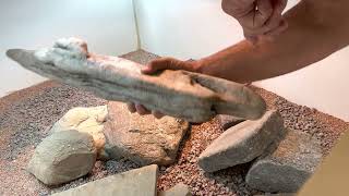 Setting Up the Enclosure for Uromastyx [upl. by Wulf299]