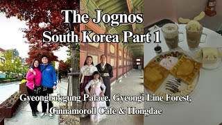 South Korea Part 1 Gyeongbokgung Palace  Gyeongi Line Forest  Cinnamoroll Cafe amp Hongdae [upl. by Uuge]