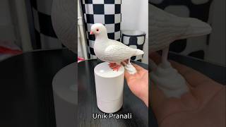 🤮दीदी ने चेहरे पर Potty💩लगाया🤣कबूतर के पिछवाड़े से निकला Cream🤪 funny shorts [upl. by Aym360]