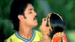 Azad Movie  Hai Hai Nayakaa Attamma Koduka Video Song  Nagarjuna Soundarya Shilpa Shetty [upl. by Brasca]