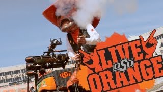 Live Orange Preparing For A New Season [upl. by Neale]