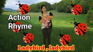 Ladybird Action Rhyme [upl. by Shetrit]