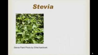 Food Label Secrets  Stevia and Thaumatin [upl. by Selim]