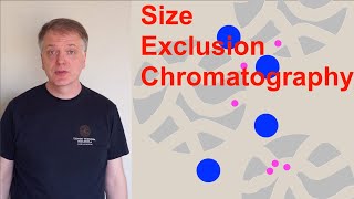 Size Exclusion Chromatography SEC [upl. by Chlo]