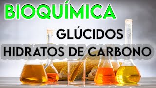 12¿Está bien dicho HIDRATO DE CARBONO  GLÚCIDOS [upl. by Latsirc]