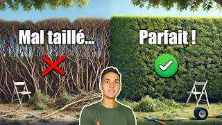 Comment Tailler et Ramasser une Haie FACILEMENT TOUTES mes Astuces de Pro [upl. by Atiloj]