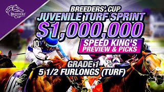 2024 Breeders Cup Juvenile Turf Sprint Preview amp Picks 6th Race Del Mar 1112024 [upl. by Lupita35]