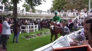 2013年キズナロンシャン競馬場ニエル賞パドック [upl. by Ravi]