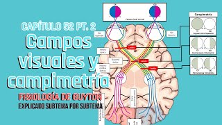 CAP 52 24 Campos visuales y campimetría l Fisiología de Guyton [upl. by Ozzy]