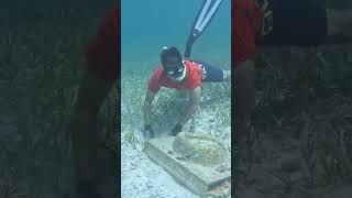 Rare view of under ocean🌊🌊🤣 funny viralvideo youtubeshorts underwaterworld [upl. by Virgy339]