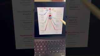 Crohn’s…What can you do🧩 [upl. by Siegler]