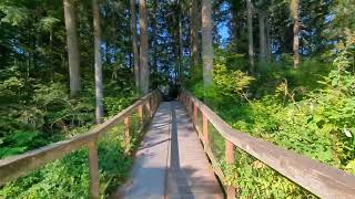 trail in Sammamish near Issaquah and Seattle [upl. by Ahsekin]