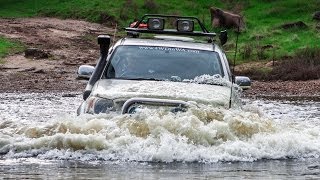 Extreme offroad 4x4 action australia adventure  mud bog water crossing 4WD [upl. by Minton]