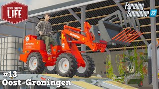 Nieuwe Minishovel Koeien Voeren amp Onkruid Wieden  OostGroningen 13  FS22 [upl. by Adnarahs243]