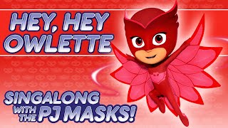 PJ Masks  Super Cat Speed  Disney Junior UK [upl. by Armalla]