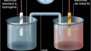 Potentiel redox [upl. by Sauer]