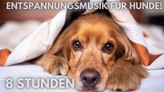 14🐶8 Stunden tiefe Entspannungsmusik für Hunde [upl. by Lledroc156]