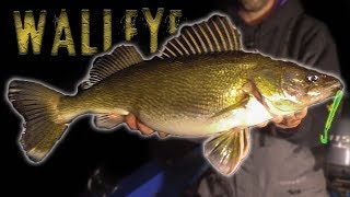 GIANT Walleye  Winter Walleye Fishing Tips and Techniques [upl. by Gottuard541]