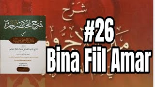 26 Mukhtasar Jiddan  Bina Fiil Amar [upl. by Anaiuq]