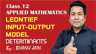 Leontief input output model 02  Word problems  Class 12 Applied Maths [upl. by Oakleil815]