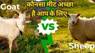 Which Meat is better Goat or Sheep  lamb meat vs goat meat taste Nutrients 🍖 etc In Hindi [upl. by Vida114]