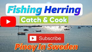 Fishing HerringCatch amp CookPinoy In Sweden [upl. by Rawdan607]