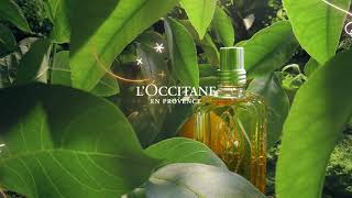 How Do You Pronounce LOccitane  LOccitane [upl. by Carolee]