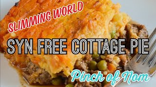 SYN FREE COTTAGE PIE  SLIMMING WORLD  PINCH OF NOM [upl. by Medeah]