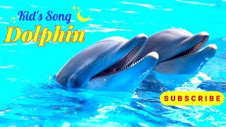 Kids SongDOLPHIN cartoonvideo animalcartoon kidsong kidsjingle babysong Hindirhyme dolphin [upl. by Ibob]