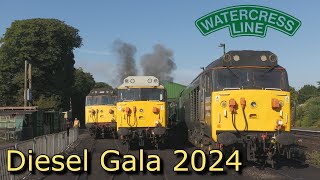 Watercress Line Diesel Gala 2024  The Highlights [upl. by Joost]