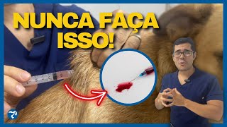 O SEGREDO de Como Aplicar Vacina no Cachorro e no Gato Como Aplicar Injeção no Cachorro e no Gato [upl. by Ava]